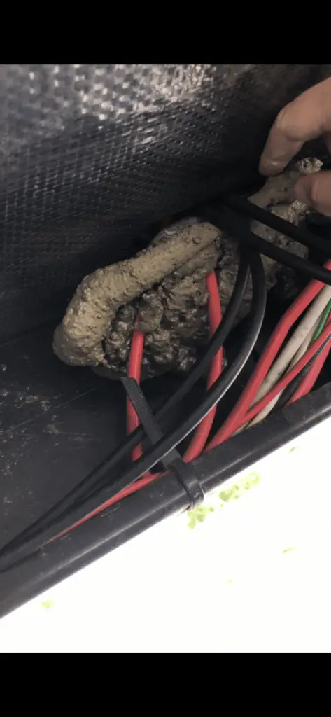 Damaged RV wiring can cause your RV shocks