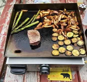 The Most Versatile RV Camping Grill